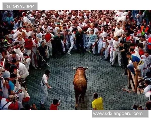 海地与黑西哥的较量：足球激情碰撞与文化交融的精彩瞬间